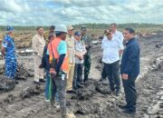 Mentan Amran: Pertanian Merauke Langkah Nyata Menuju Lumbung Pangan Dunia 