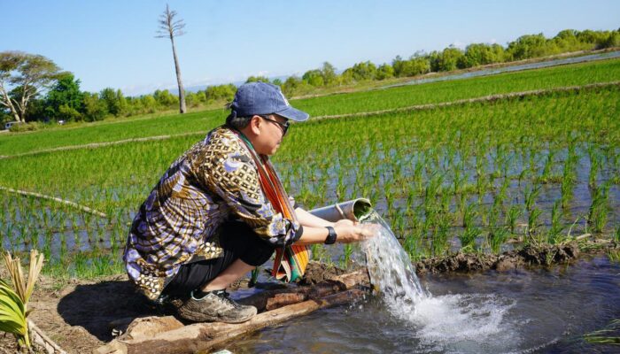 Produksi Naik bulan Agustus, September dan Oktober, Program Pompanisasi Berhasil