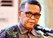 Bantah Soal Dukungan ke Danny-Azhar di Pilgub Sulsel, NA: Saya Fokus Urus Bisnis Saja 