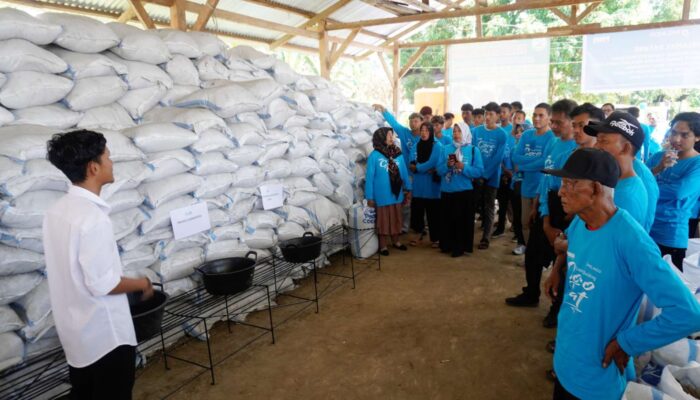 Transformasi Limbah Sabut Kelapa Menjadi Coco Peat: Program Pemberdayaan oleh PT Pelindo (Persero) Regional 4 Makassar