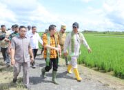 Mentan Jelajahi 3 Provinsi dalam 1 Hari Demi Swasembada Pangan