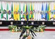 Presiden Prabowo Ucapkan Terima Kasih Atas Kinerja Mentan Amran Penuhi Produksi Beras 