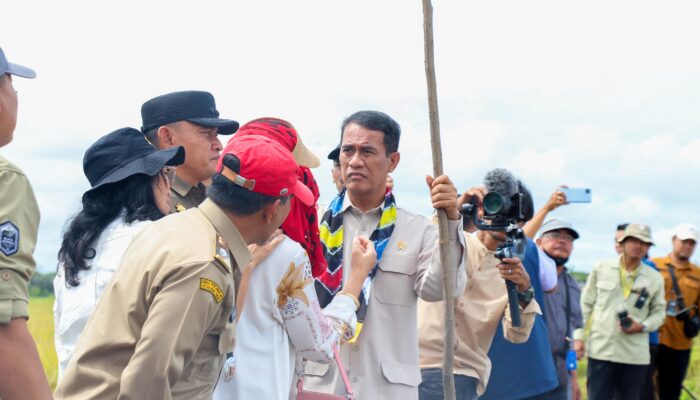 Mentan Amran Dorong Kalsel Tanam Padi 3 Kali Setahun, Saatnya Jadi Lumbung Pangan Nasional!