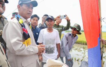 Mentan Amran Tegaskan Bulog Wajib Serap Gabah Petani Any Quality, Yang Tidak Mau Kerja Untuk Rakyat Minggir!