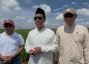 Hari Libur, Mentan Amran Tinjau Inovasi Padi Jajar Legowo: Percepat Tanam, Tingkatkan Produktivitas
