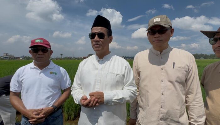 Hari Libur, Mentan Amran Tinjau Inovasi Padi Jajar Legowo: Percepat Tanam, Tingkatkan Produktivitas
