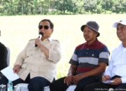 Prabowo Apresiasi Gerak Cepat Mentan Amran: Tiap Saya Cari, Beliau Selalu Ada di Sawah