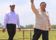 Setiba dari Yordania, Mentan Amran Sidak Bulog dan PIHC