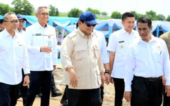 Didampingi Mentan Amran, Presiden Prabowo Bangga Melihat Lahan Rawa Jadi Sawah Produktif di SumSel