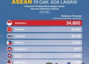Departemen Pertanian Amerika Serikat Ramalkan Produksi Beras Indonesia Tertinggi di ASEAN