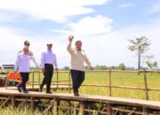 Mentan Amran, “Sentuhan Ajaib” Presiden Prabowo Hentikan Impor Beras