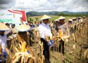Mentan Amran: Kabar Gembira, Petani Jagung Dapat Dukungan 5 Triliun dari Presiden
