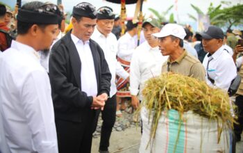 Mentan Amran Targetkan Luwu Timur Tanam Padi 4 Kali Setahun