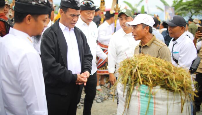 Mentan Amran Targetkan Luwu Timur Tanam Padi 4 Kali Setahun