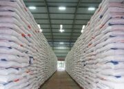 Kementan dan Kemen PPPA Sinergi Gerakkan Pekarangan Pangan Bergizi