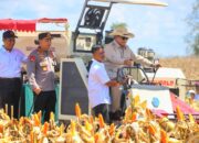 Didampingi Mentan Amran, Presiden Prabowo Pimpin Panen Raya Jagung Di Kalbar