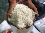 Pengamat: Dasar Mafia! Harga Beras Melonjak Rp 5.000 di Tengah Stok Melimpah, Produsen Besar Manipulasi Harga