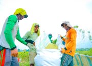 Mentan Amran Beberkan Penyebab Harga Beras Masih di Atas HET Meski Stok Surplus