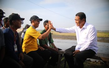 Mentan Amran Benahi Ekosistem Perberasan demi Kesejahteraan Petani Terus Meningkat