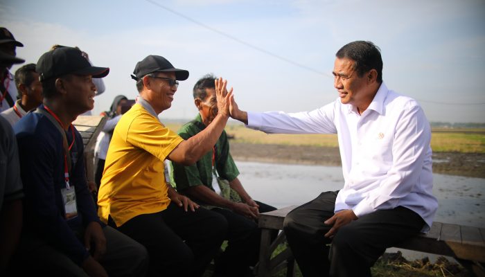Mentan Amran Benahi Ekosistem Perberasan demi Kesejahteraan Petani Terus Meningkat