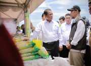 Gubernur Zainal Apresiasi Penuh Langkah Mentan Amran Dorong Kaltara Jadi Lumbung Pangan Perbatasan dan Pintu Ekspor