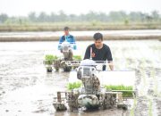 Ekspor Pertanian Januari-Agustus 2025 Melonjak 38,25 Persen, Bukti Ketangguhan Pangan Nasional