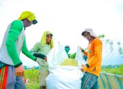 Setahun Pemerintahan Prabowo, DPR Sebut Kebijakan Pangan Arahnya Tepat Sejahterakan Petani