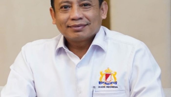 Wakil Ketua Kadin Puji Kinerja Amran, Selaras dengan Survei Kementan Terbaik Nasional