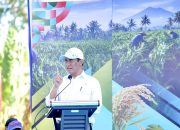 Amran Sulaiman Masuk Daftar Menteri Terbaik: Kinerja Pertanian Diapresiasi Publik di Setahun Pemerintahan Prabowo–Gibran