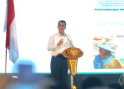 Kembalikan Kejayaan Rempah Indonesia, Visi Mentan Amran Jadikan Malut Pusat Rempah Dunia