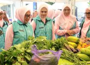 Ketua TP-PKK Parepare Dorong UMKM Manfaatkan Digital Marketing melalui Tani Smart Market