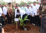 Percepat Hilirisasi Kelapa Nasional, Mentan Amran Launching Gerakan Menanam Lima Juta Kelapa di Selayar