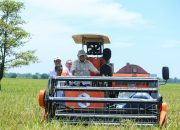 Akademisi Unand: Transformasi Kebijakan ala Mentan Amran Dorong Ekosistem Pangan Nasional yang Tangguh