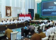 Presiden Prabowo Tegaskan Swasembada Pangan Papua, Mentan Amran Targetkan Cetak 100 Ribu Hektare Sawah