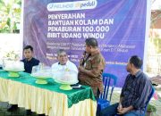 Ribuan Bibit Udang Windu Diberikan Pelindo Regional 4 Makassar ke Nelayan Lakkang
