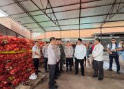 Mentan Amran Sidak 133,5 ton Bawang Bombay Selundupan Berpenyakit: Tidak Ada Ampun, Usut Sampai Akar