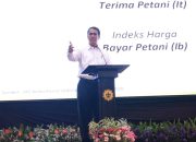 “Lapor Pak Amran”: Mentan Amran Tindak Tegas Pelanggaran, Petani Makin Terlindungi