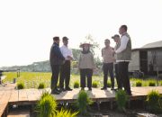 Indonesia Swasembada Pangan, Stok Beras di Aceh Tinggi