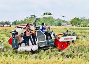 Hadapi Hujan Ekstrem, Kementan Bekali Penyuluh dan Petani Strategi Tanam Cerdas