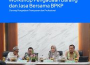 Workshop Pengadaan Bersama BPKP Perkuat Profesionalisme Tata Kelola RSUD Andi Makkasau