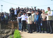 Kementan Alokasikan Rp336 Miliar untuk Rehabilitasi Sawah Terdampak Banjir di Sumatera