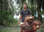 Genjot Hilirisasi, Sawit Jadi ‘Miracle Crop’ Andalan RI di Pasar Global