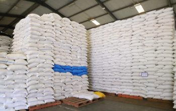 Indonesia Ekspor Beras ke Arab Saudi dan Salurkan Bantuan ke Palestina, Bukti Produksi Kuat dan Stok Nasional Aman