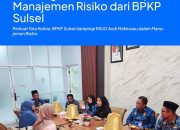 RSUD Andi Makkasau Parepare Terima Bimtek Penerapan Manajemen Risiko dari BPKP Sulsel