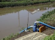 Potensi Kekeringan Menguat, Kementan Dorong Optimalisasi Pompa Air