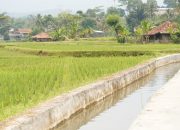 Mentan Amran: Percepat Lima Strategi Utama Mitigasi Kekeringan Hadapi El Nino