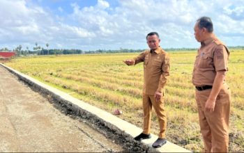 Alhamdulillah Bone 7,84 Persen Pertumbuhan Ekonomi Triwulan I 2026