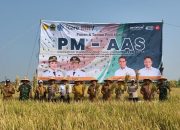 Produktivitas Padi Tembus 10,43 Ton/Ha, PM-AAS Buktikan Modernisasi Pertanian Tingkatkan Hasil Panen