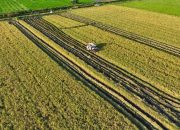 Dari Pupuk Murah hingga HPP Gabah, Jalan Menuju Swasembada Dimulai dari Petani