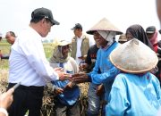 Mentan Berhenti di Sawah Karawang, Beri Combine Harvester untuk Buruh Tani dan Ganti Traktor yang Dicuri